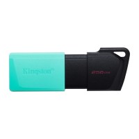 Kingston DTXM256GB