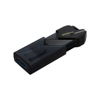 Kingston DTXON256GB